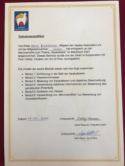 Faser-Tutorial mit Paul Vallely image